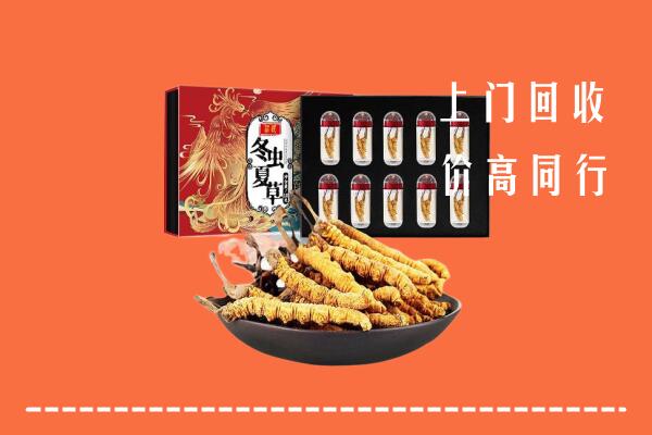泸州市古蔺回收虫草